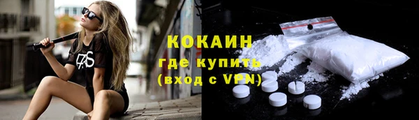 мяу мяу кристалл Няндома