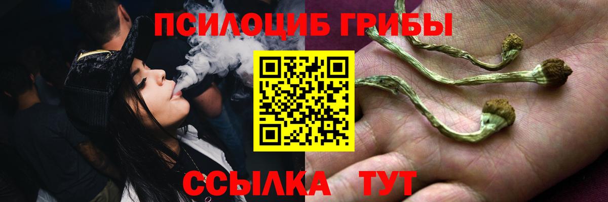 Галлюциногенные грибы MAGIC MUSHROOMS Ступино